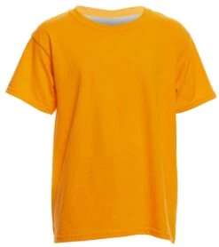 Youth Cotton T Shirt - Brights