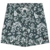 Men's 17" Classic Jam Printed Swim Trunks