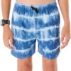 Rip Curl Boys' Tube Heads Dye Swim Trunks (Big Kid)