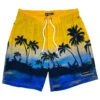 Men's 17" Dusk Till Dawn Swim Trunks